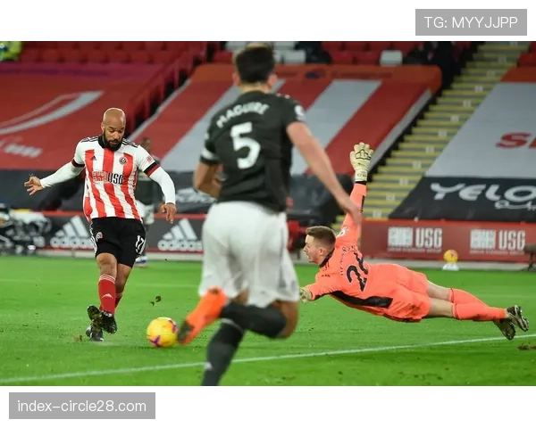 花絮:谢菲联主场告别英超,球迷赛后长时间鼓掌致谢球员